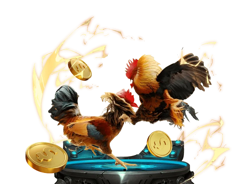 Giấy phép hoạt động hợp pháp hi79